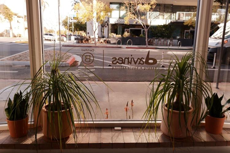 Beauty and Purpose Unite over San Diego's Forging Futures Gala