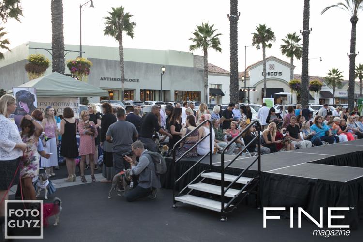 Photos by Will Grayson of Foto Guyz