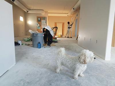 What Factors Should You Consider Before Renovating a Multigenerational Home