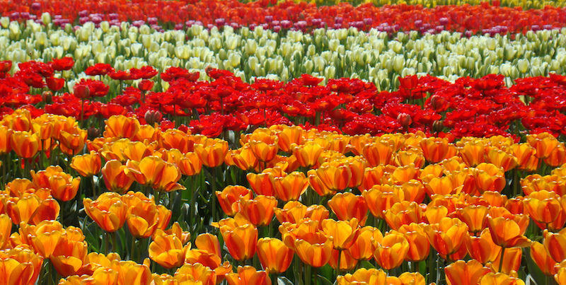 Five Must-See Wonders of the United States