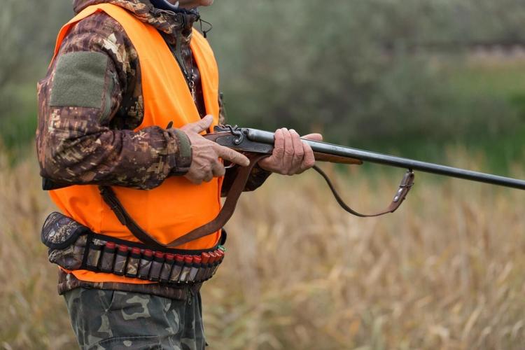 How to Choose Ohio Guide Outfitters for Whitetail Hunts