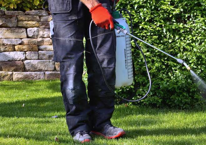 10 Top-Rated Residential Pest Control Companies to Know in Atlanta (2026)