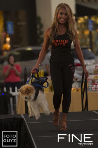 Photos by Will Grayson of Foto Guyz