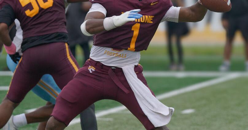Florida HBCU football roundup: Wildcats win; Rattlers, Tigers and Lions fall