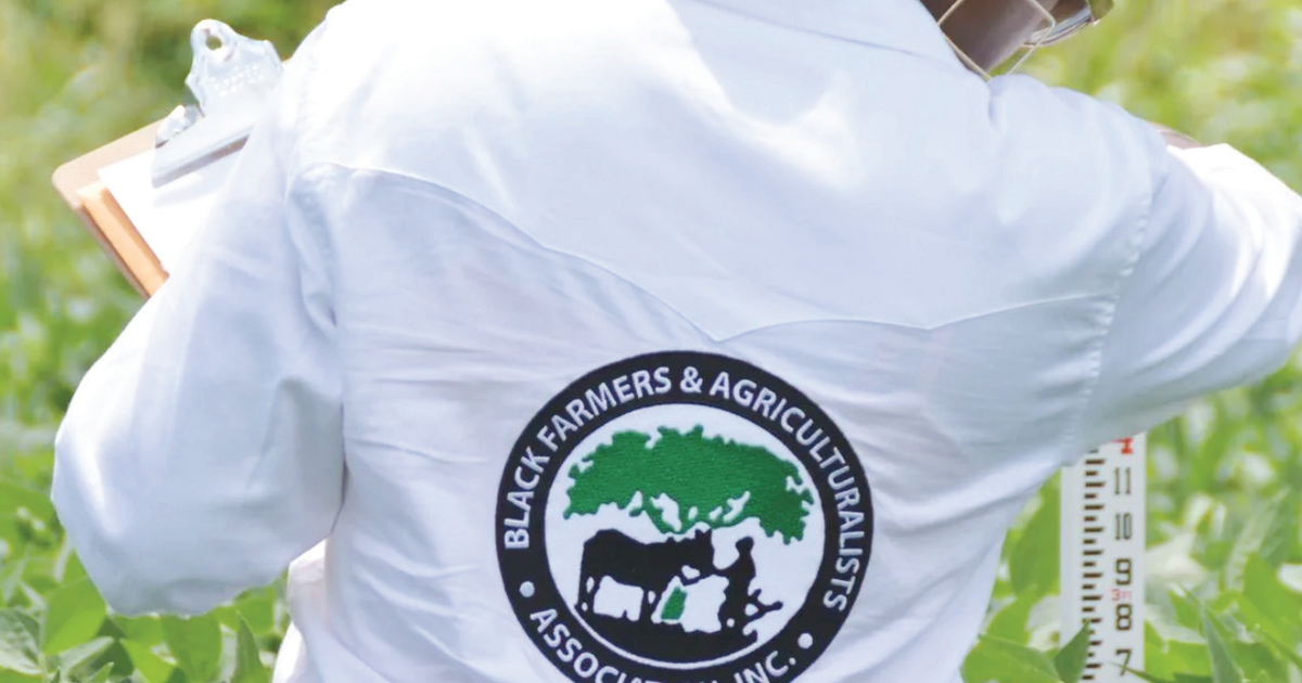 Black farmers continue struggle to keep land, operations going