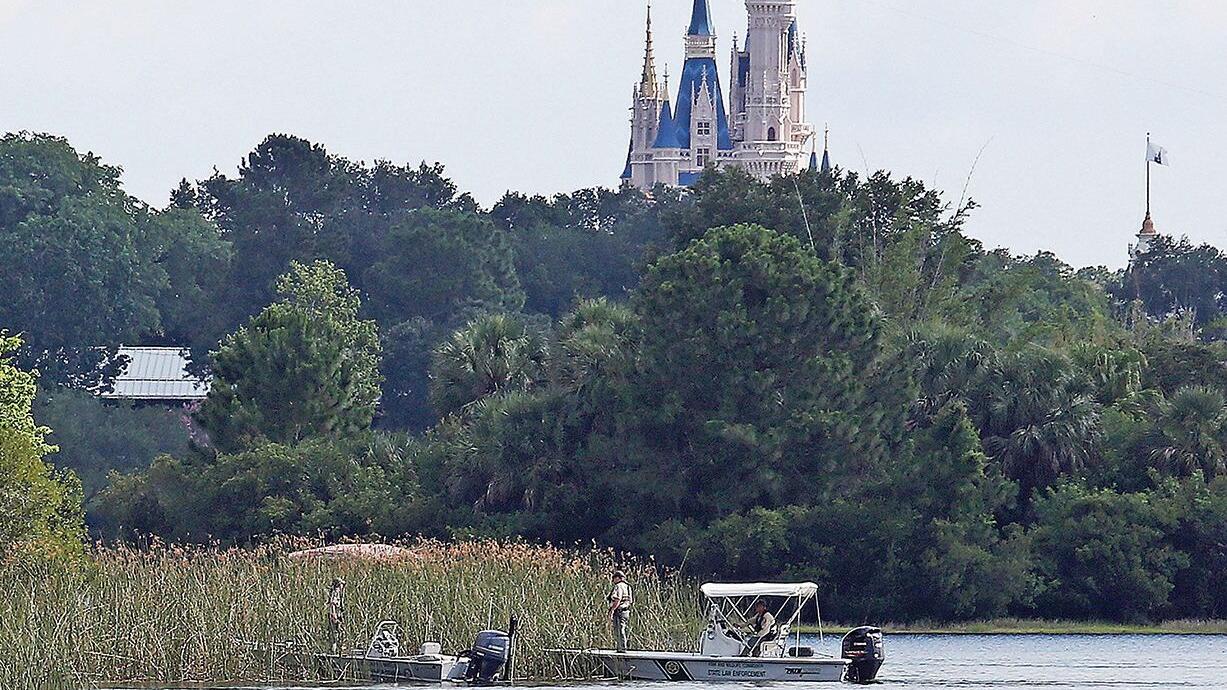 250 gators removed from Disney properties since 2-year-old's 2016 death | News - Vimarsana News