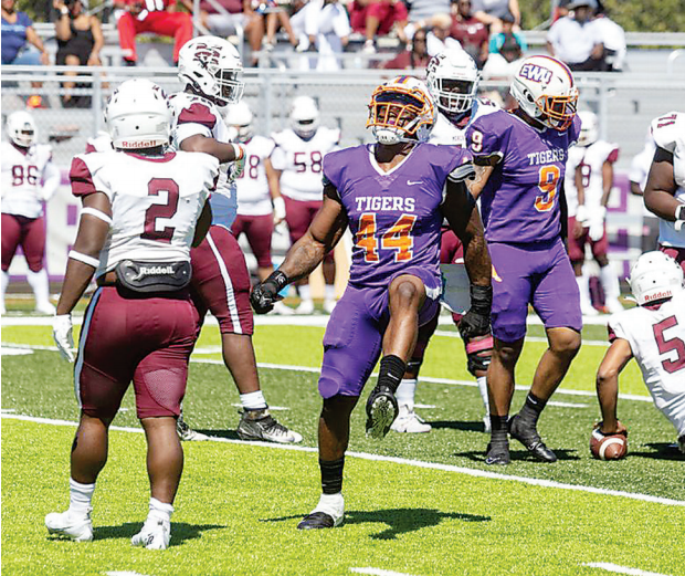 Offensive Onslaught Lifts Wildcats over Rattlers - Bethune-Cookman  University Athletics