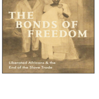 Book on emancipation questions simplified views of post-slavery life