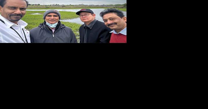Aquatic Flowers | Fort Bend Star | School News - Vimarsana News