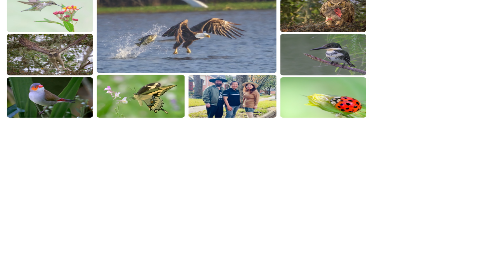 The Reid Feed Finding Zen through the lens of photographer Clarence