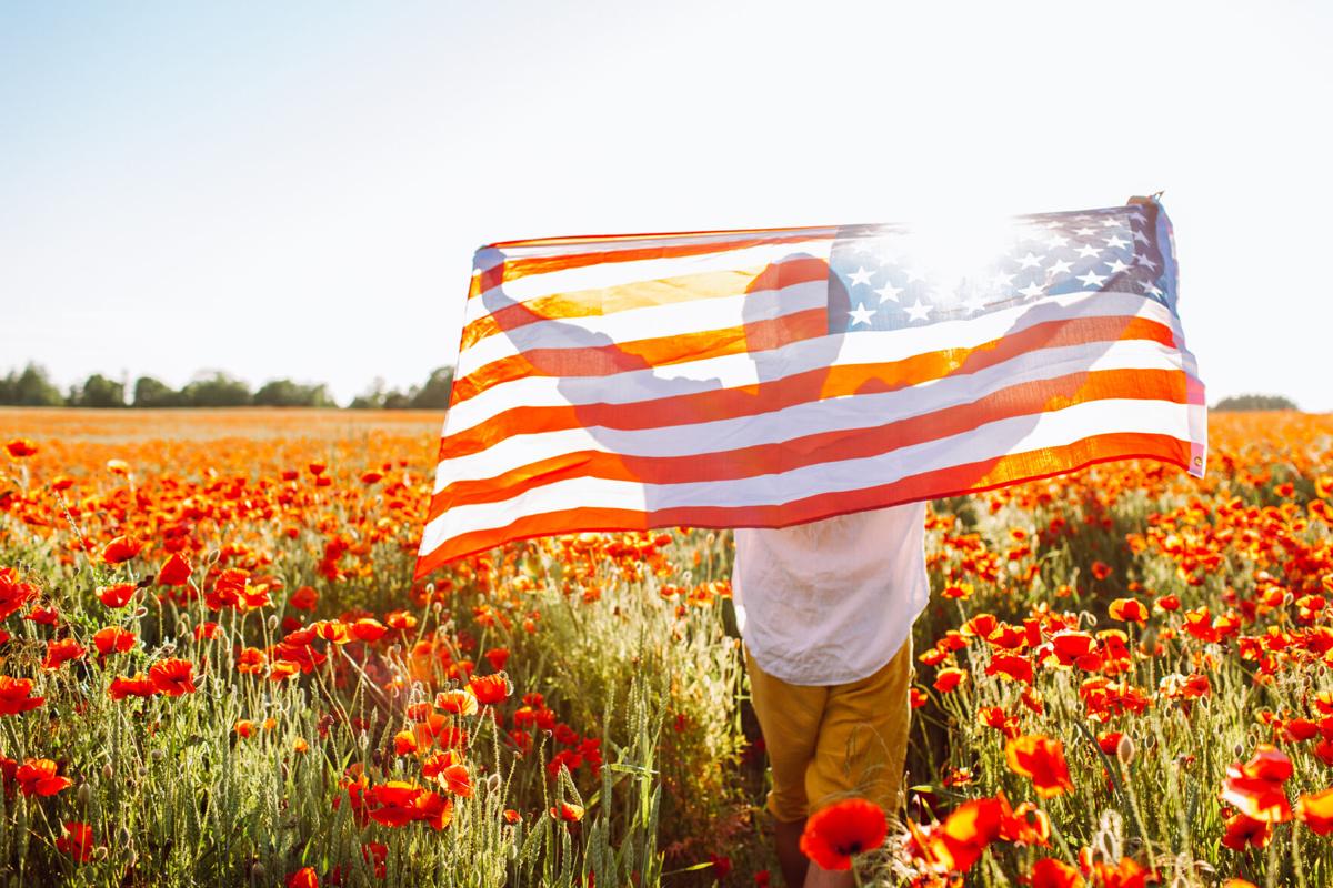 The Poppy Flower : A Memorial Day Remembrance and an Epidemic