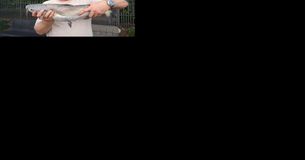 Purported Suicide | Fort Bend Star | County News - Vimarsana News