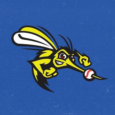 MLB signs four players from Skeeters’ pro league