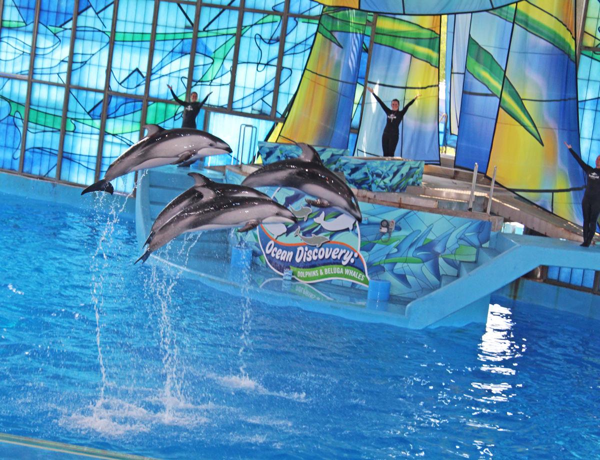 Sea World San Antonio Traveling Soldier Forthoodsentinel Com Sea World San Antonio Traveling Soldier Forthoodsentinel Com