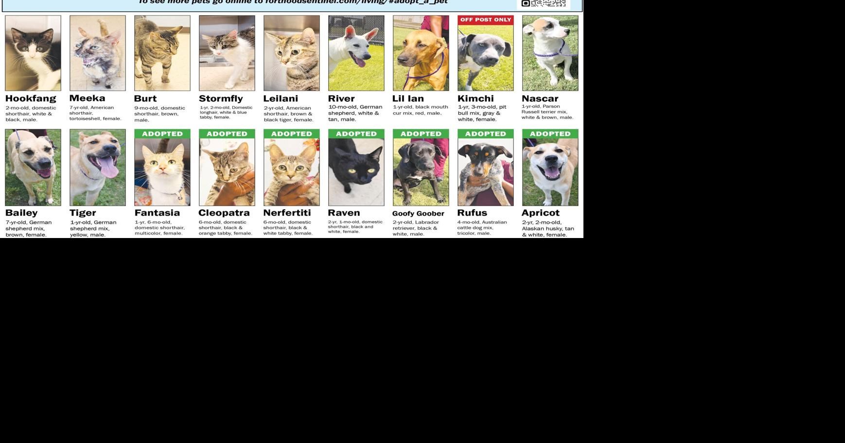 July 2 Pets
