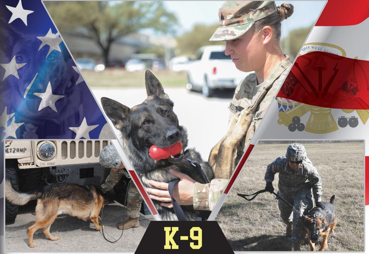 handlers dogs train as team living