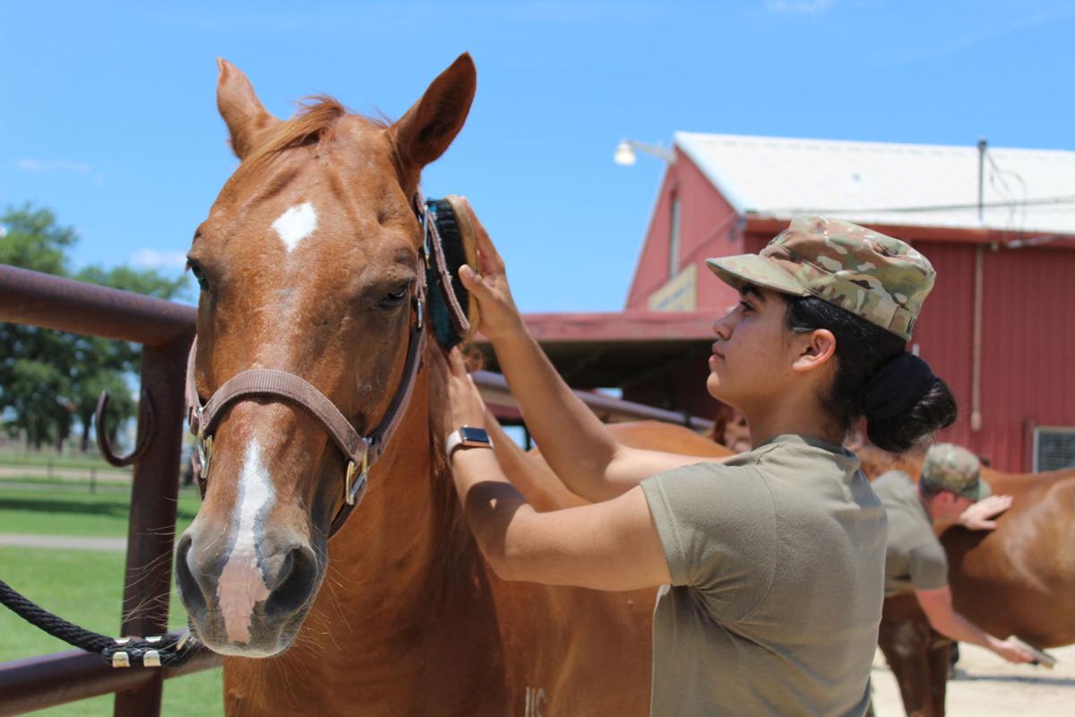 Troopers Seek Spot With Horse Cavalry Living Forthoodsentinel Com