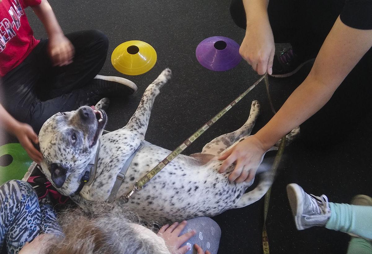 Paws for Fitness teaches kids fitness, staying safe around dogs