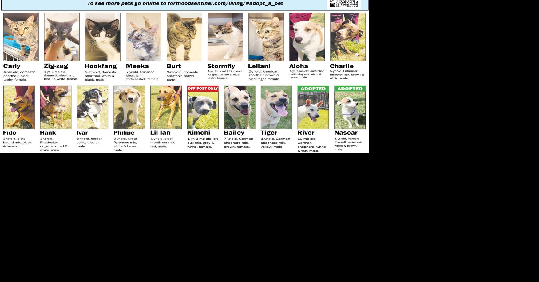 July 9 Pets