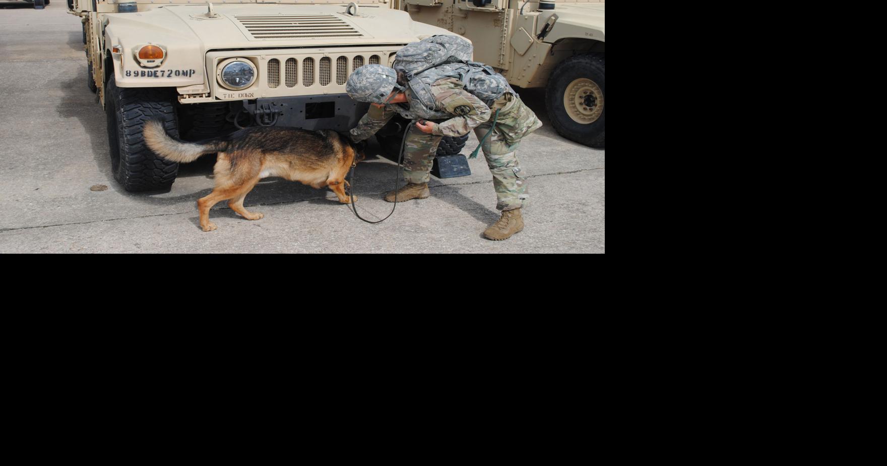 Military Working Dog teams put to the test for certifications | News ...