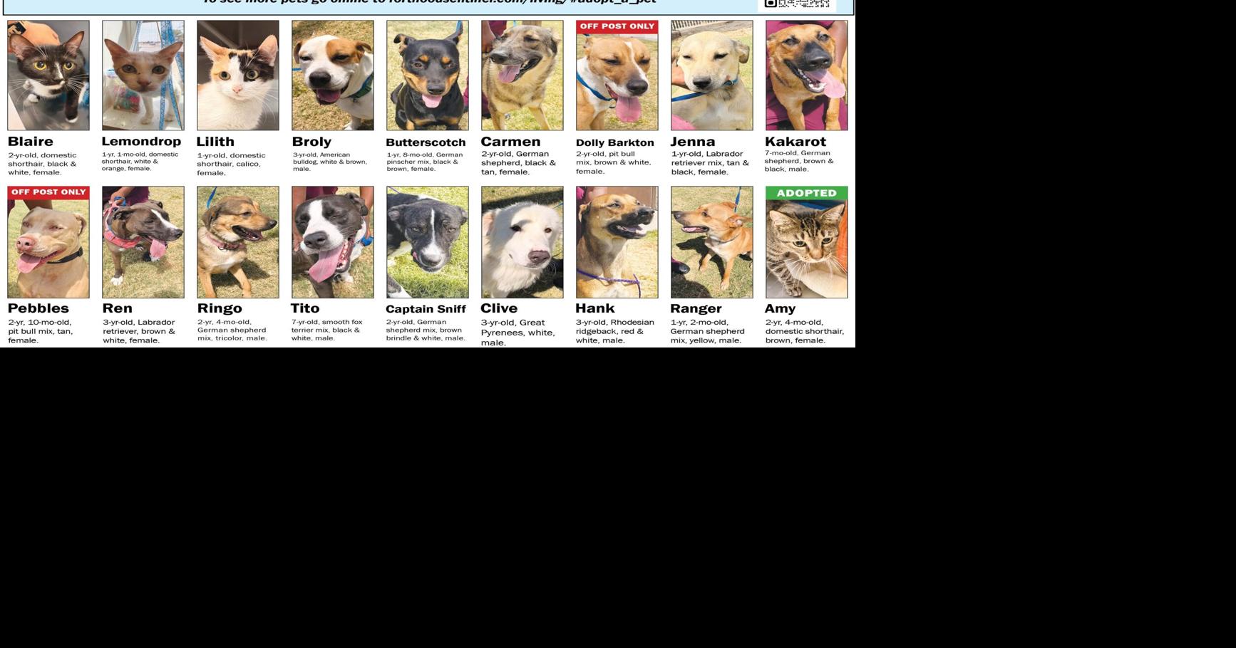 August 27 Pets