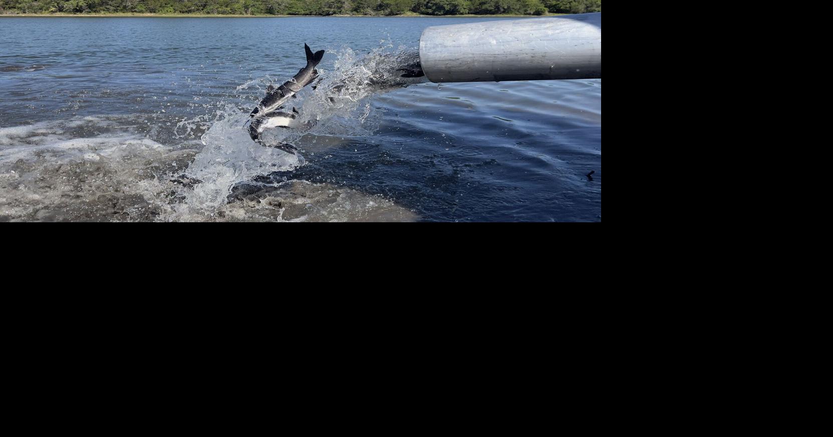 Hunting, fishing season permit sales start Aug 15