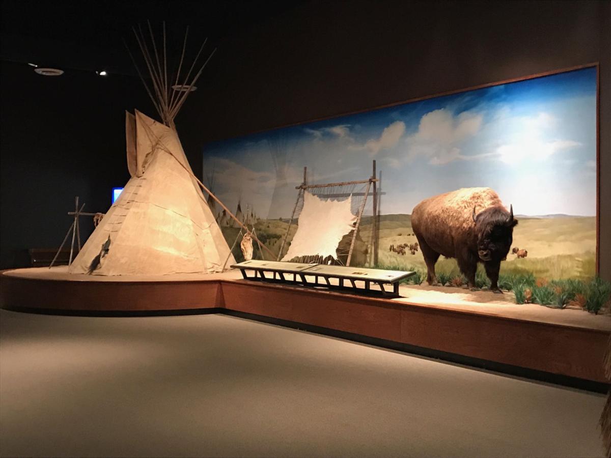 mayborn museum dinosaur