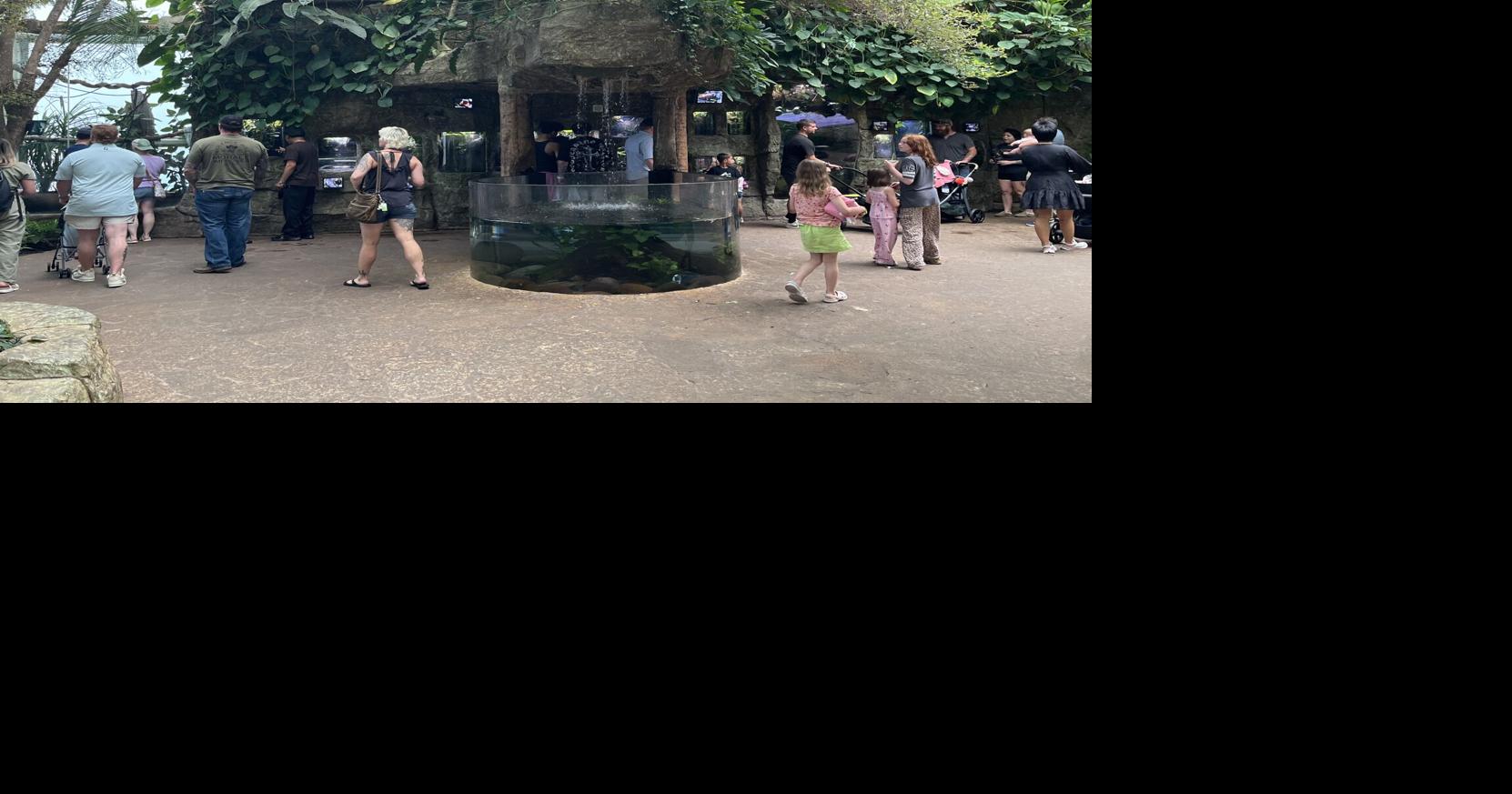 Dallas World Aquarium brings wild to Texas