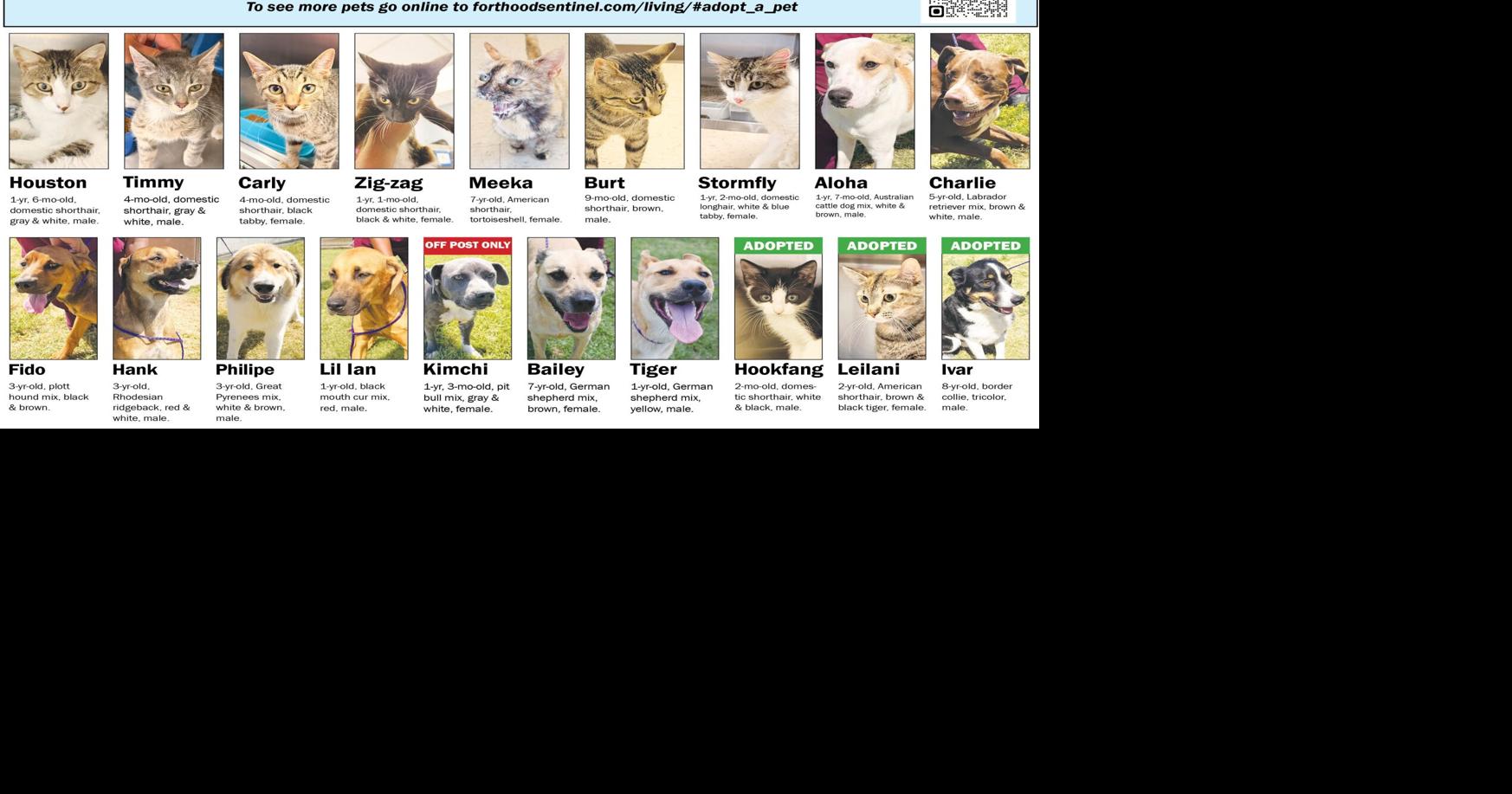 July 16 Pets