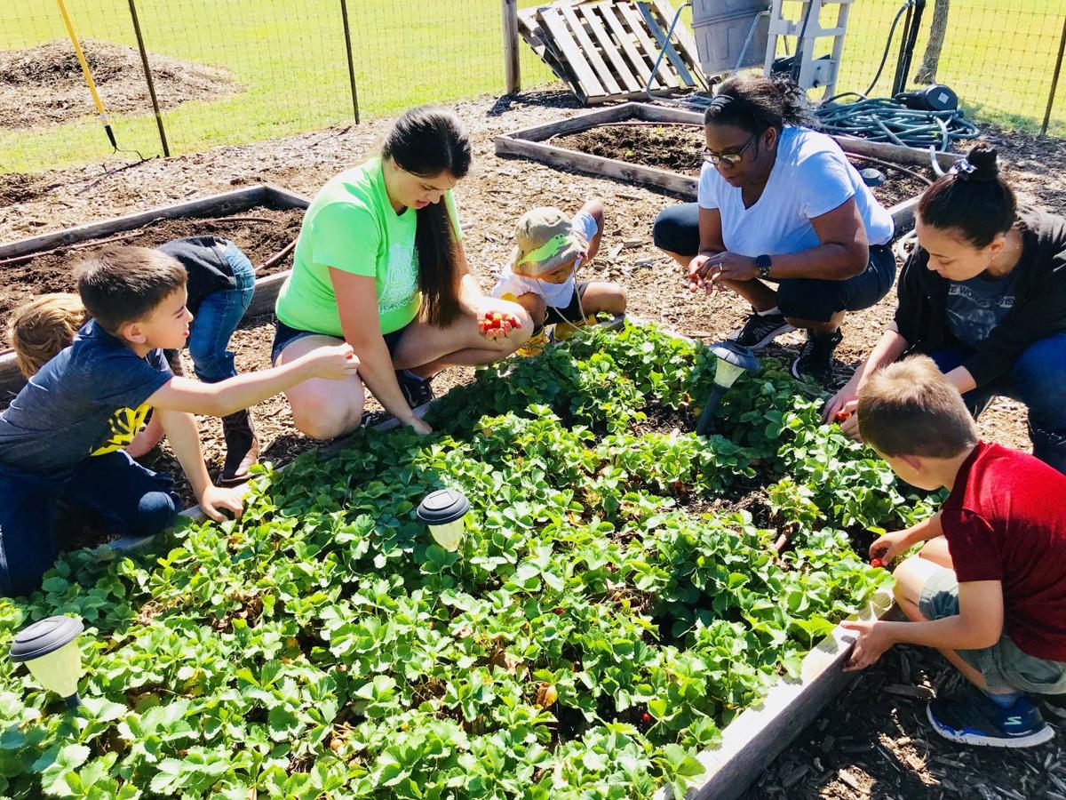 Learning Volunteer Opportunities Offered To Children Of All Ages Living Forthoodsentinel Com