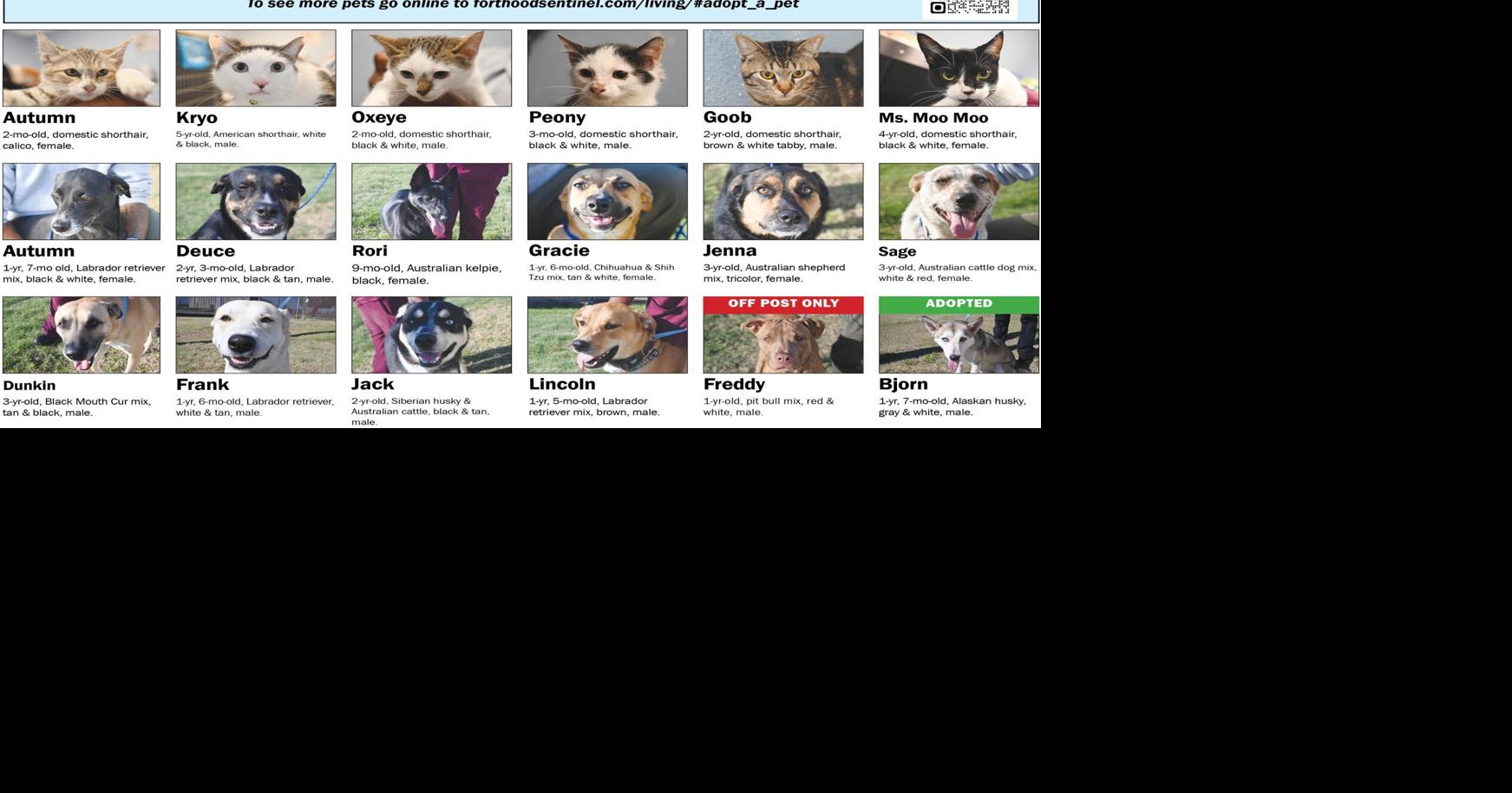 October 29 Pets