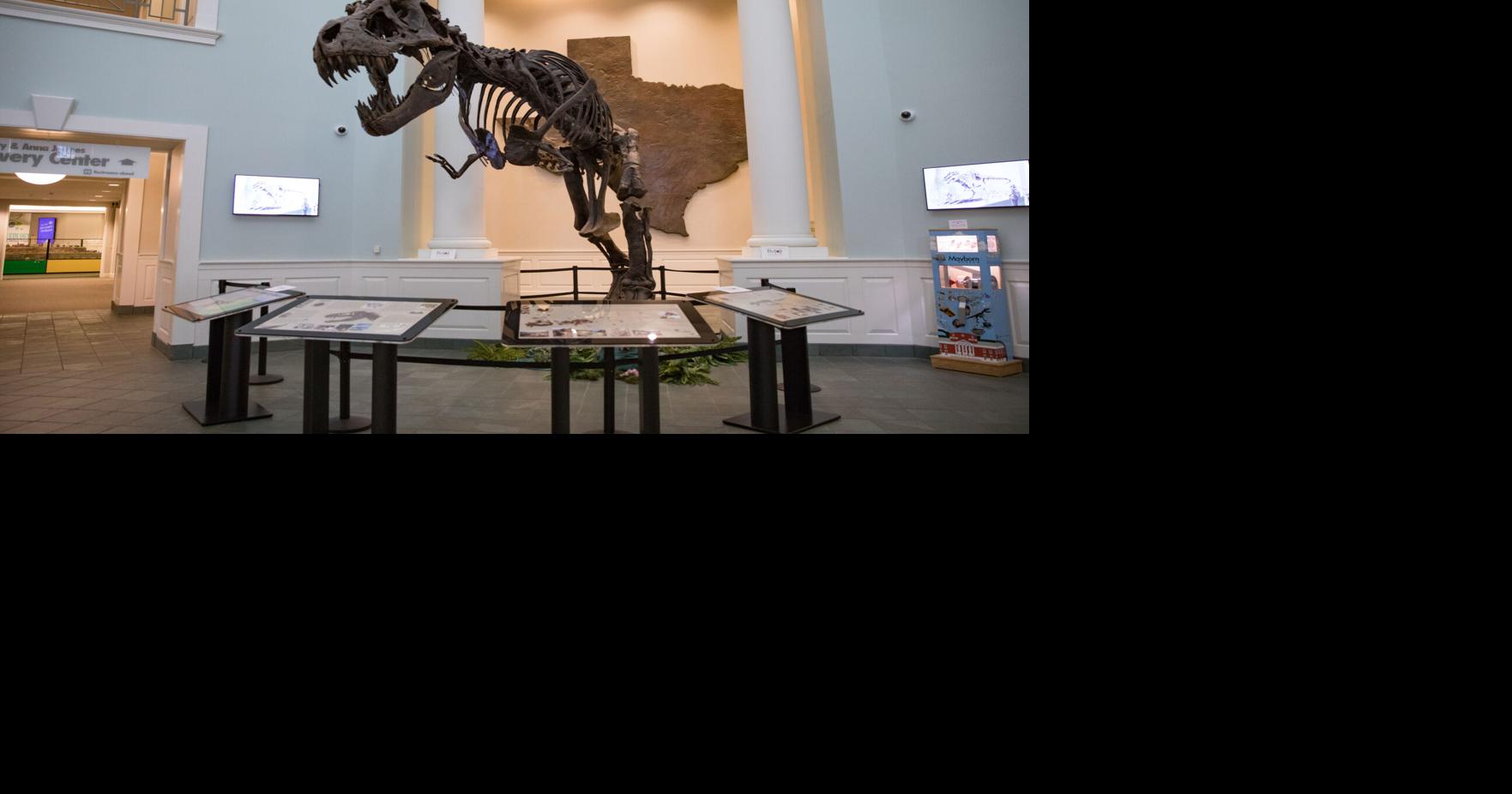 Mayborn Museum Complex | Traveling Soldier | forthoodsentinel.com