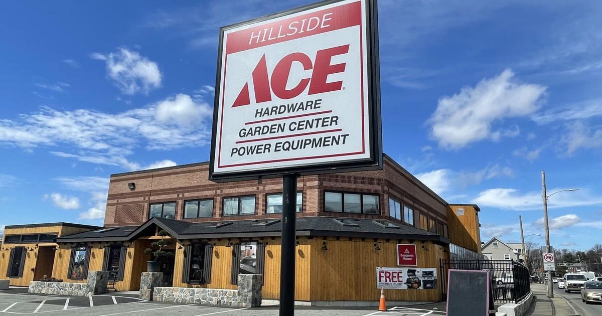 Ace Hardware Growth Shows Consumers Still High on Home Improvement | Franchise News
