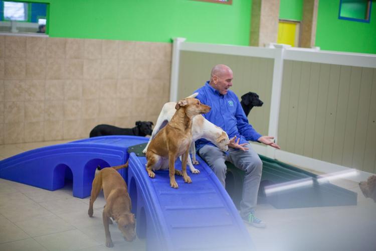 At Hounds Town USA It's Dogs First, People Second