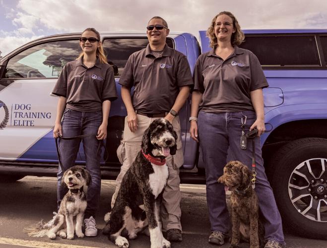 Service Dog Training Programs in Louisville. Dog Training Elite