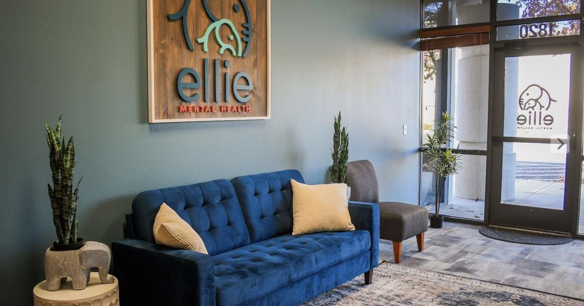 Ellie Mental Health Lawsuit: Unveiling the Controversy