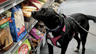 Bricks & mortar franchises find ways to survive COVID-19