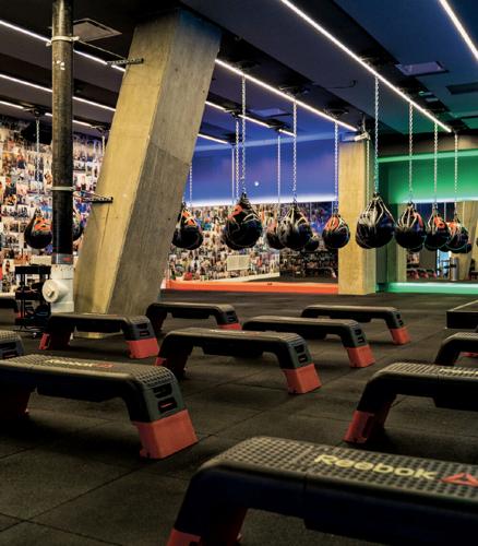 Adapt or Die Is Advice From Bash Boxing Founder | Franchise News ...