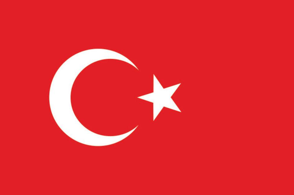 For Some Franchises, Turkey Is Worth a Closer Look