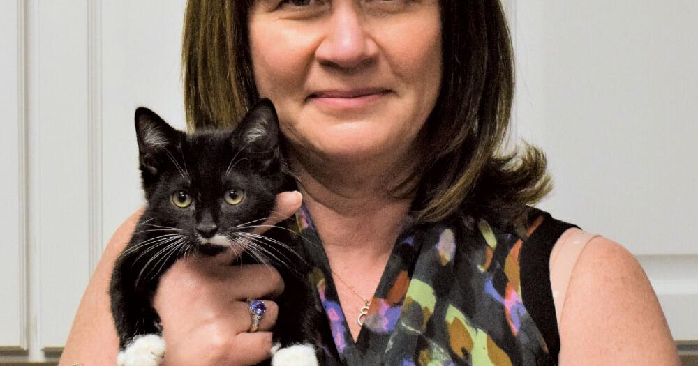 Meet the New Cat Cafe Ready to Pounce On Franchise Growth