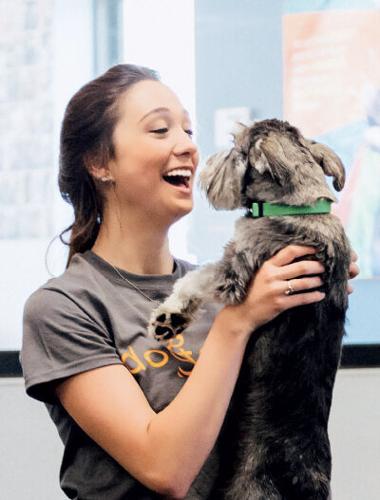 Franchise Times Zor Awards