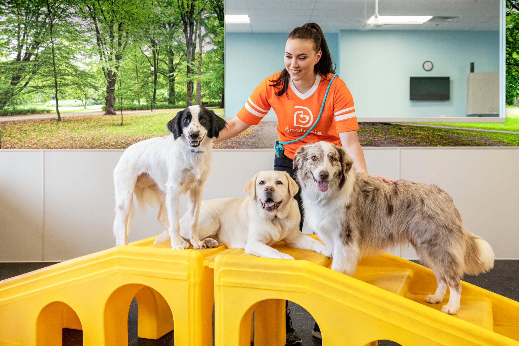 Dogtopia Attracts Restaurant Operators in Spate of New Deals