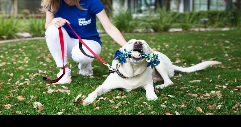 Fetch Pet Care Franchisees Allege They Were Defrauded as Complaints Mount for Phoenix Franchise Brands | Franchise News