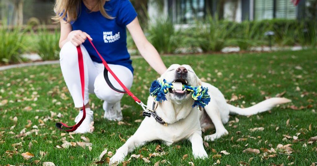 Fetch Pet Care Franchisees Allege They Were Defrauded as Complaints Mount for Phoenix Franchise Brands | Franchise News Fetch Pet Care Franchisees Allege They Were Defrauded as Complaints Mount for Phoenix Franchise Brands | Franchise News