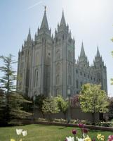 Meet the restaurant Medicis of Salt Lake City