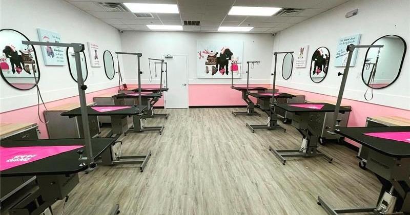 Woof Gang Bakery Attracts New Investor Amid Franchise Growth Push