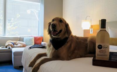 Hotels are going to the dogs to win customers
