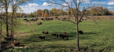 Why Domino’s will eat Pizza Hut’s lunch