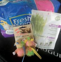 Testing out pandemic pivots at three retail brands