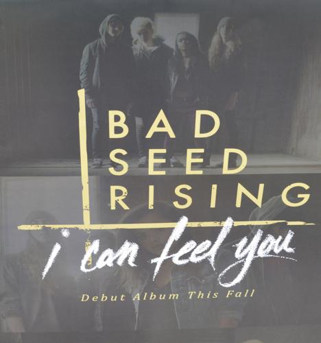 A big break: Teen rockers Bad Seed Rising get spotlight in Warped Tour ...
